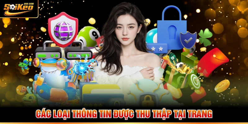 Các loại thông tin được thu thập tại trang
