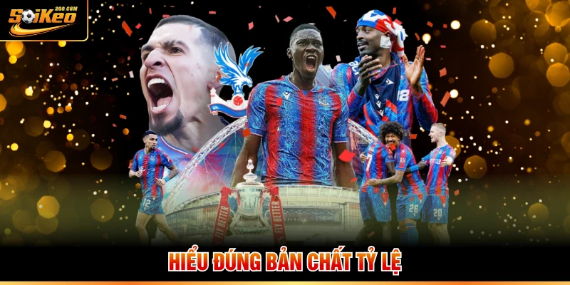 Hiểu đúng bản chất tỷ lệ