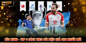 Kèo Rung - Top 5 Cách Theo Dõi Hiệu Quả Cho Người Mới