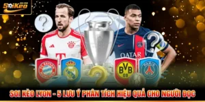 Soi Kèo Lyon - 5 Lưu Ý Phân Tích Hiệu Quả Cho Người Đọc