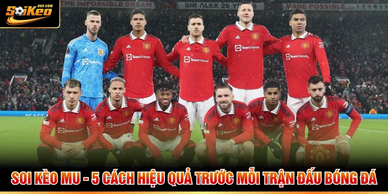 Soi Kèo MU - 5 Cách Hiệu Quả Trước Mỗi Trận Đấu Bóng Đá