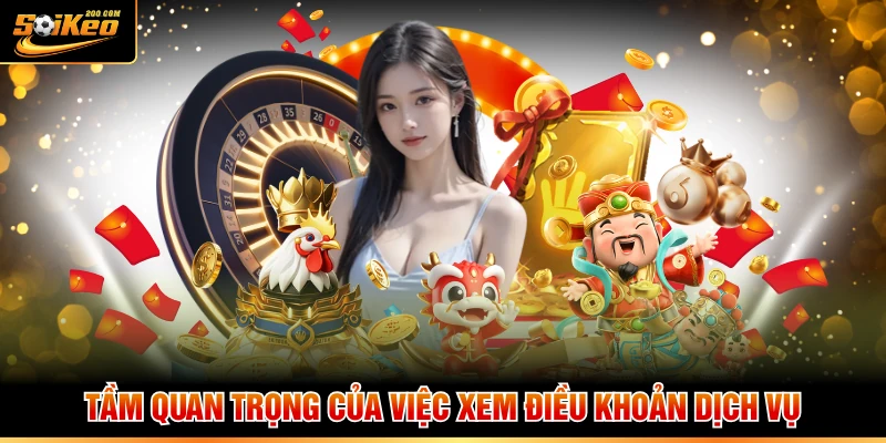 Tầm quan trọng của việc xem điều khoản dịch vụ